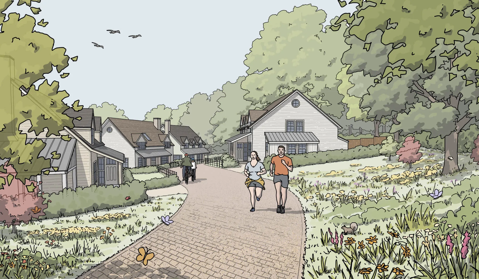 Illustrated street view along the shared lane at Station House, St Helens, weatherboarded houses beside wildflower verges Illustrated street view along the shared lane at Station House, St Helens, weatherboarded houses beside wildflower verges